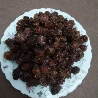 الوچه