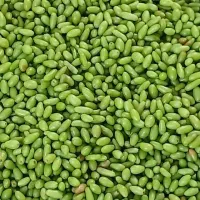 آبغوره اورگانیک
