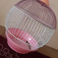 قفس
