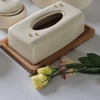 جای دستمال کاغذی