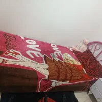 تخت