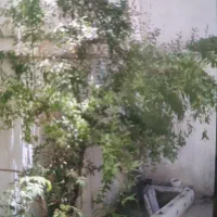 ۱۲۰متر کلنگی سلسبیل ۲/۵طبقه