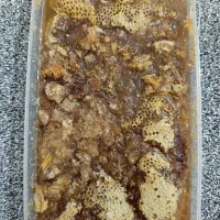 عسل وحشی