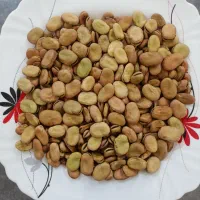 باقله اسپانیایی زودرس خوش پخت وپربار