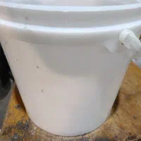 سطل