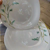 بشقاب . ظرف غذاخوری. لیوان
