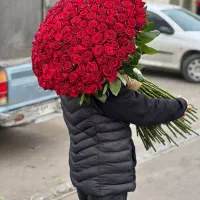 رز هلندی|گل و گیاه طبیعی|تهران, آهنگ|دیوار