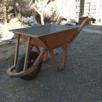 فرغون ورق ضخیم