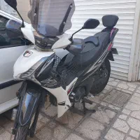 اشیل نیوفیس