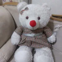 عروسک|اسباب‌‌بازی|تبریز, |دیوار