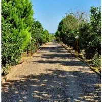 نیاز به کارگر ساده