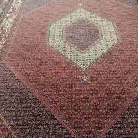 فرش|فرش|اسدآباد, |دیوار