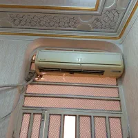 شیبان سالم بدونه کار ...گری 30 هزار