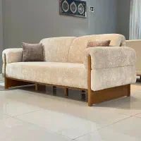 ادیتور حرفه ای