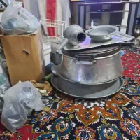 مس قلف سینی