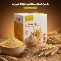 پودر جوانه گندم