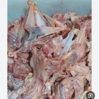 اشغال مرغ برای سگ
