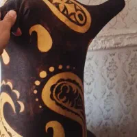 نی انبان همراه با دسته