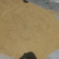جو درجه یک کیلویی 50ت