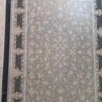 حراج فرش ۱۵۰۰ شانه جفت ۹ متری