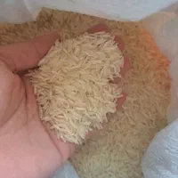 برنج پاکستانی