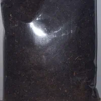 چای محلی فومنات