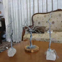 درختچه بن سای تزیینی