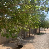 خونه-باغ-یحی-آباد