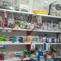 پت شاپ لئو