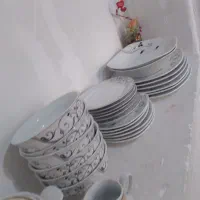 ظروف  چیتی   سالم  قیمت   مناسب