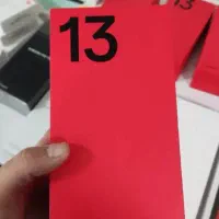 one plus 13