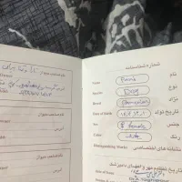 سگ فروشی
