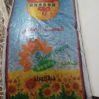 تخمه افتاب گردان