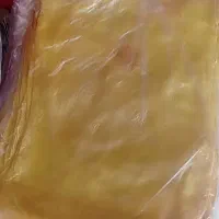 نان خانگی تنور آتیشی و گازی