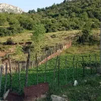فروش فوری زمین در منطقه توریستی دراسله سوادکوه