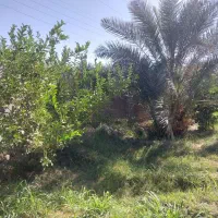 باغ ویلا