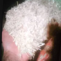 فروش کاه گندم دیم