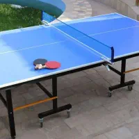 تولید کننده میز های پینگ پنگ   p60