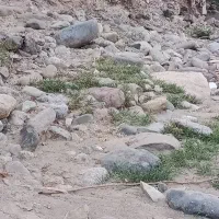 قلوه سنگ رودخانه ای