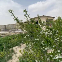 چناران-باغ-ویلا-دامداری-یک-کیلومتری-شهر-باامتیاز