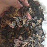 بادنجان خوشک برای تر سی بادمجونه جهرمی