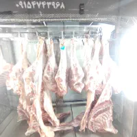 گوشت ومرغ