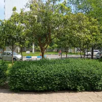 دعوت به همکاری در املاک/درصد بالا و حقوق ثابت