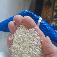 برنج نیم دانه عنبربو