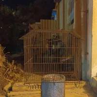 قفس پرنده