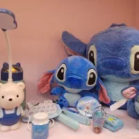 انواع اکسسوری /هدیه