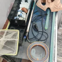 آکواریوم و وسایل