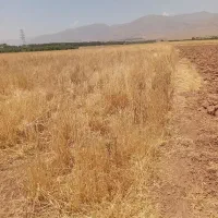 زمین-برای-کشاورزی-یا-باغ-در-نیشابور