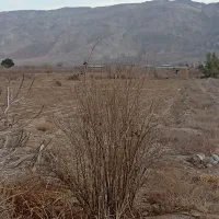 زمین کشاورزی دوهزار متر