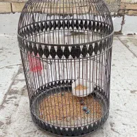 قفس کبوتر سالم و تمیز